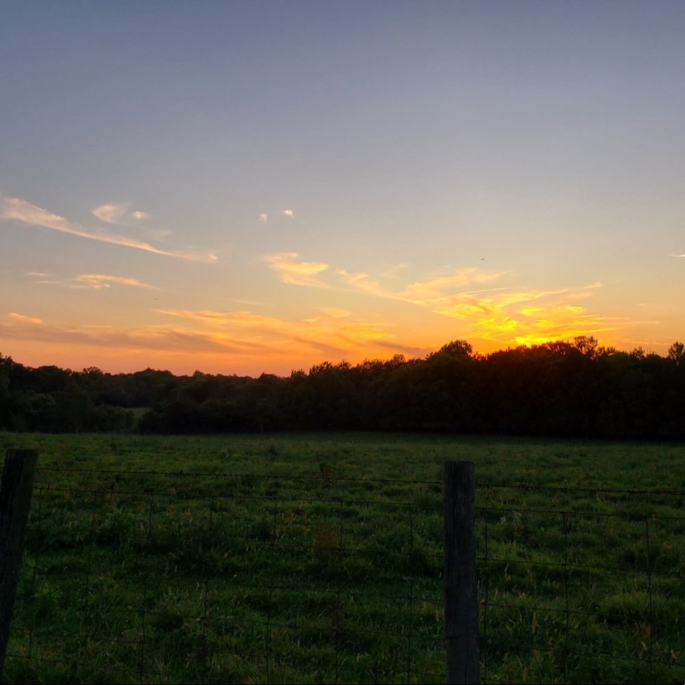 Meet your Posher, Phoebe